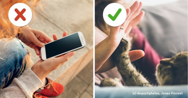 Đặt điện thoại xuống và cảm nhận thế giới