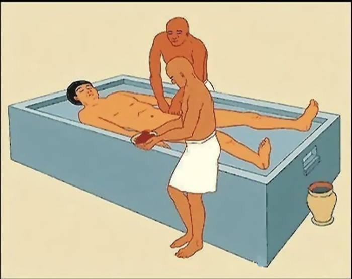 Tách nội tạng khỏi thi thể 