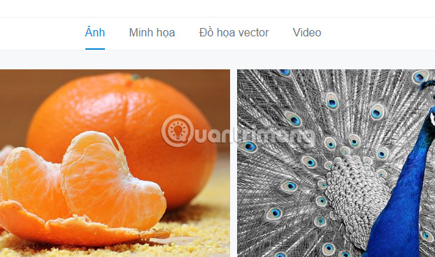 kho ảnh Stock miễn phí