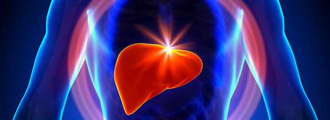 Giải độc cho gan 