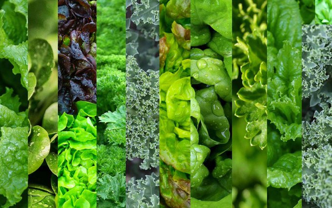 Bổ sung Magiê và Canxi