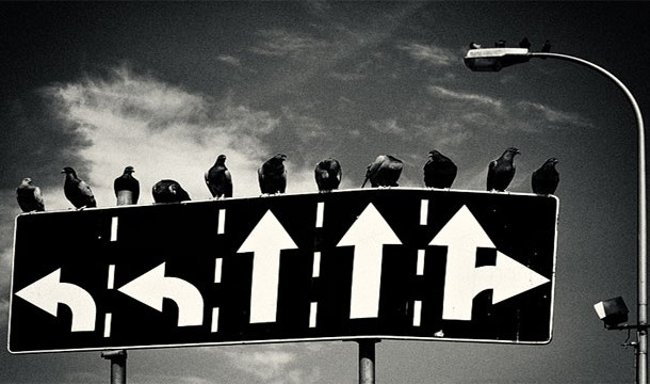 Tùy anh thôi! Tùy anh thôi!