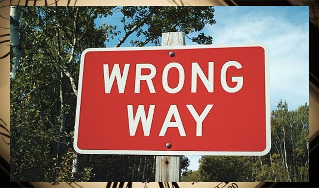 Anh đang làm gì đấy? Anh đang làm gì đấy?