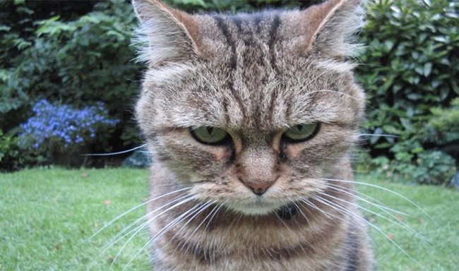 Không sao đâu! Không sao đâu!