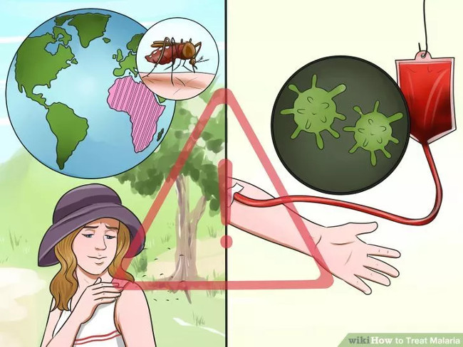 Xác định nguy cơ mắc bệnh sốt rét