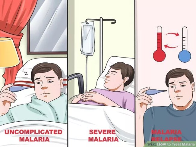 Tìm hiểu về các loại sốt rét khác nhau