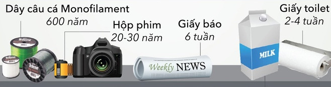 Giấy báo cần 6 tuần để phân hủy 