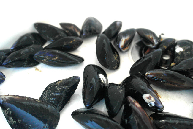 Phát minh mới sẽ góp phần đối phó với biển đổi khí hậu 