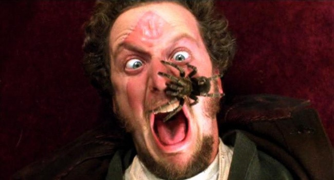 Con nhện Tarantula bò trên mặt của nam diễn viên Daniel Stern