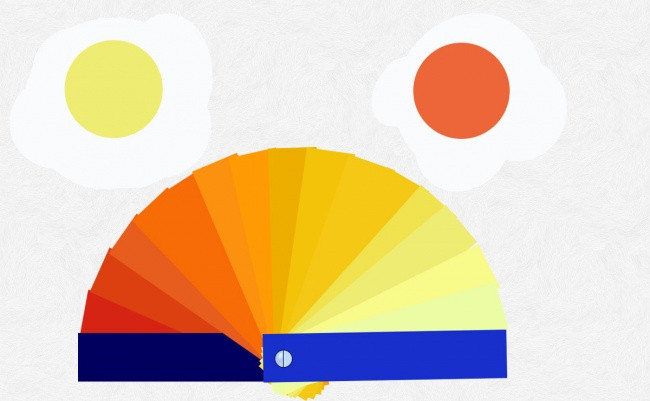 Bảng màu xác định chất lượng sản phẩm trứng