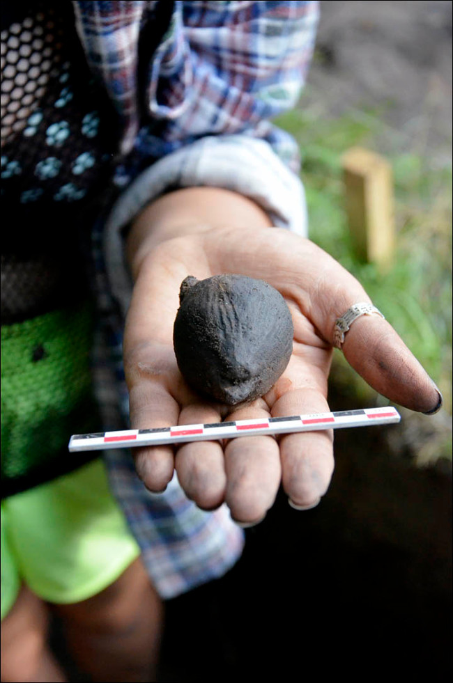 Đồ chơi giải trí của trẻ em thời tiền sử cách đây khoảng 4000 năm Đồ chơi giải trí của trẻ em thời tiền sử cách đây khoảng 4000 năm