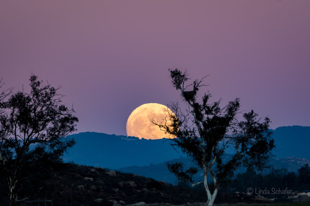 Siêu Mặt Trăng ở California