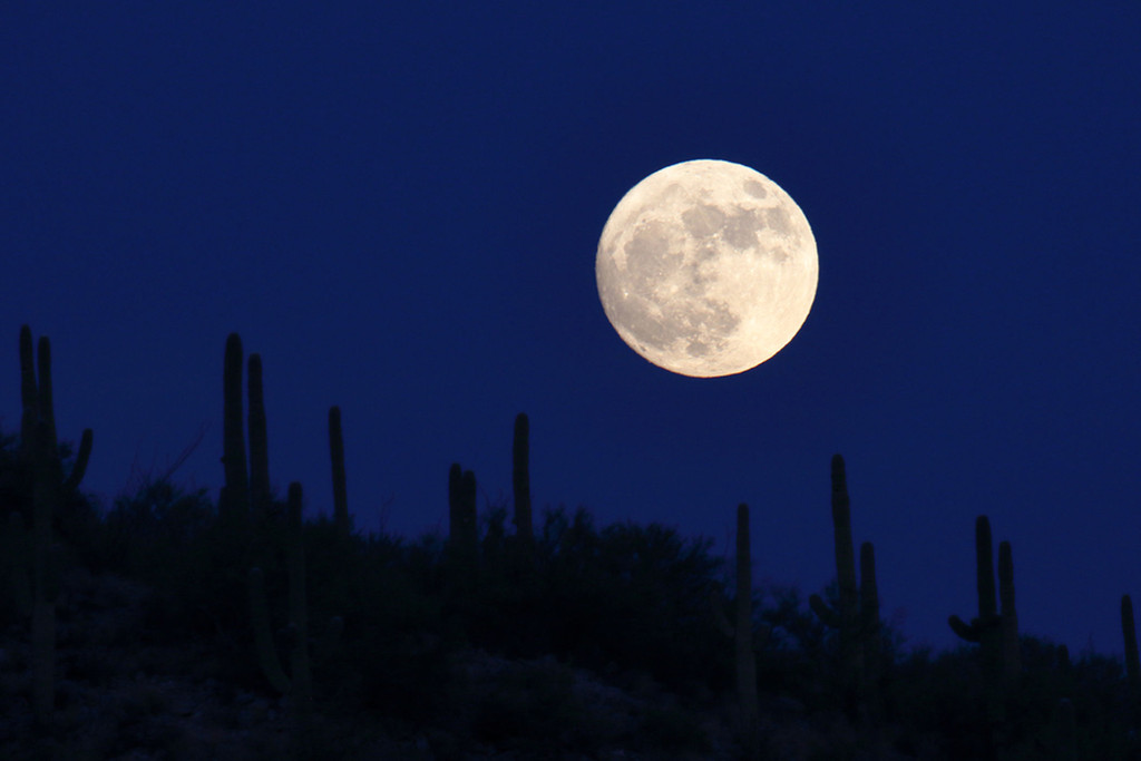 Siêu mặt trăng trên sa mạc Sonoran