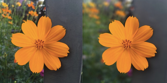 Một số hình ảnh sau khi chỉnh sửa 