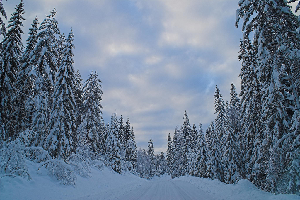  Khung cảnh mùa đông trắng xóa thật tuyệt vời