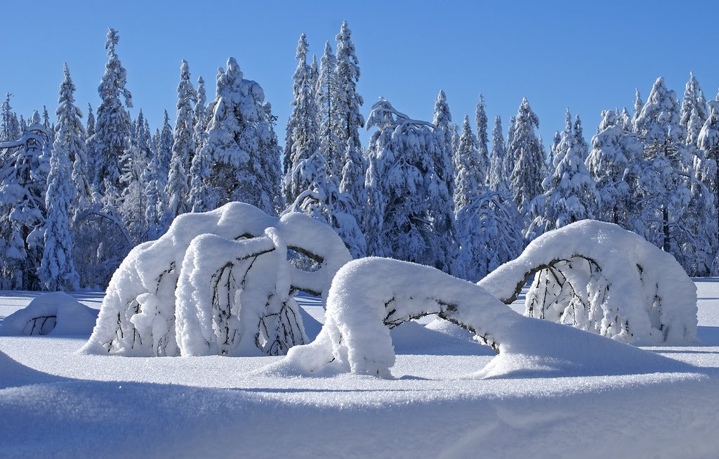 Những cảnh tượng "kinh hoàng"