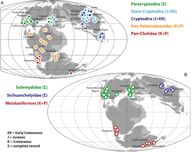 Khu vực sinh sống của loài rùa răng 