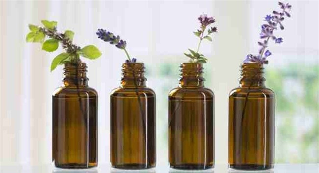 Tinh dầu tràm trà