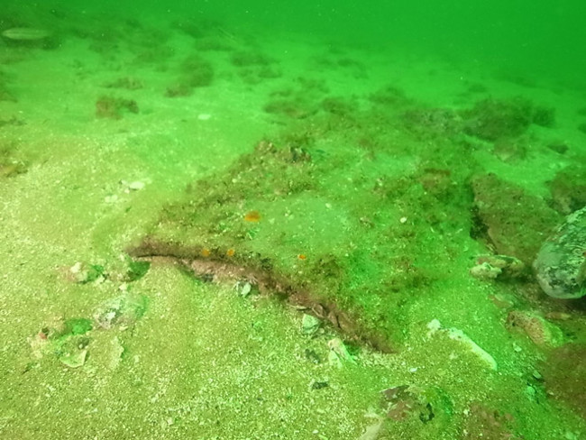 30 viên ngói cổ được tìm thấy dưới đáy biển ở nhật 