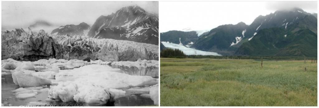 Pedersen Glacier, Alaska. 