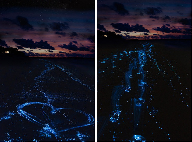 Bãi biển trên đảo Vaadhoo, Maldives