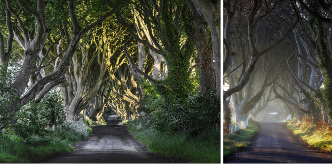 Con đường kì bí Dark Hedges, Ai-len