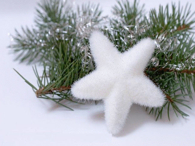 Ngôi sao Giáng sinh Ngôi sao Giáng sinh