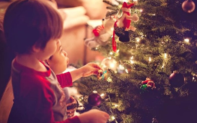 Cây thông Nô-el Cây thông Nô-el