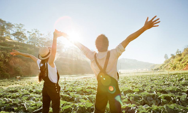 Chuyến du lịch nho nhỏ