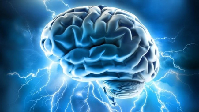 Con người chỉ sử dụng 10% não bộ