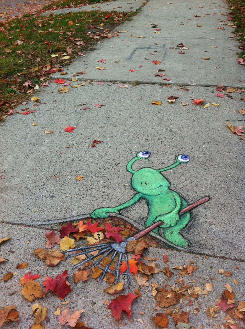Chú ếch quét lá trên đường phố