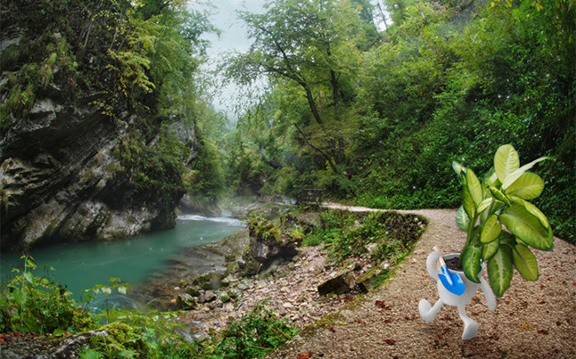 Trở về cội nguồn thiên nhiên hoang dã