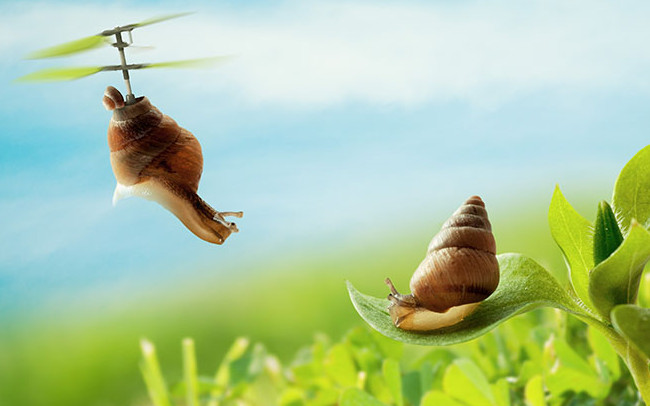 Và đây là giải pháp cho những cô nàng ốc sên chậm chạp