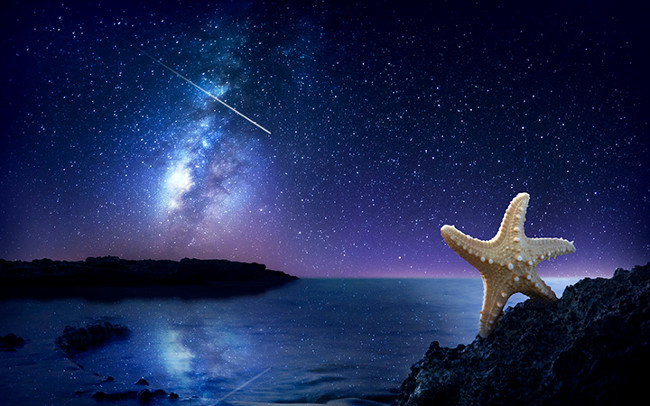 Ước mơ của ngôi sao