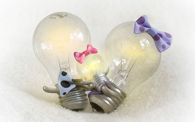 Gia đình nhà bóng đèn