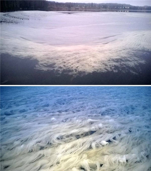 Tuyết "Spaghetti"  Tuyết "Spaghetti"