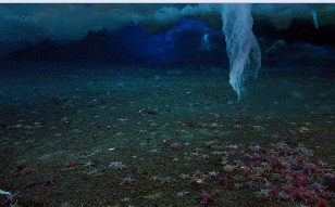 "Ngón tay tử thần" khiến mọi vật đóng băng trong nháy mắt "Ngón tay tử thần" khiến mọi vật đóng băng trong nháy mắt