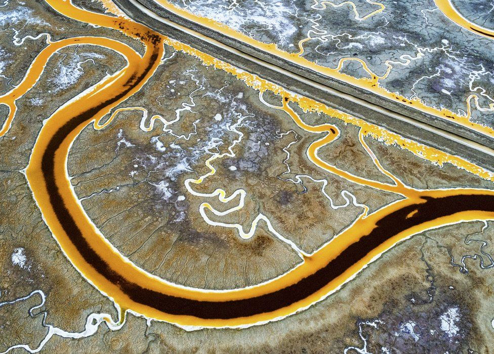 Bức ảnh chụp tại vịnh San Francisco   Bức ảnh chụp tại vịnh San Francisco