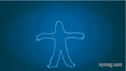 Thân nhiệt cơ thể   Thân nhiệt cơ thể