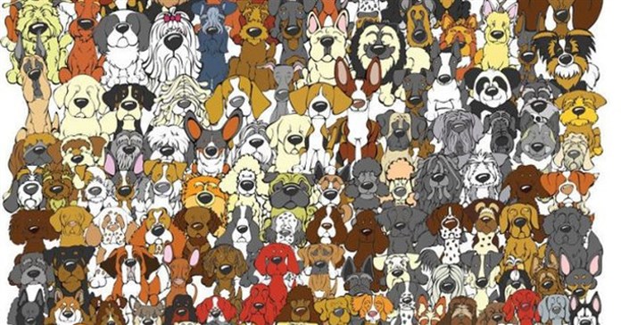 Cùng luyện tinh mắt với những bức tranh đố "hại não" dưới đây nào!