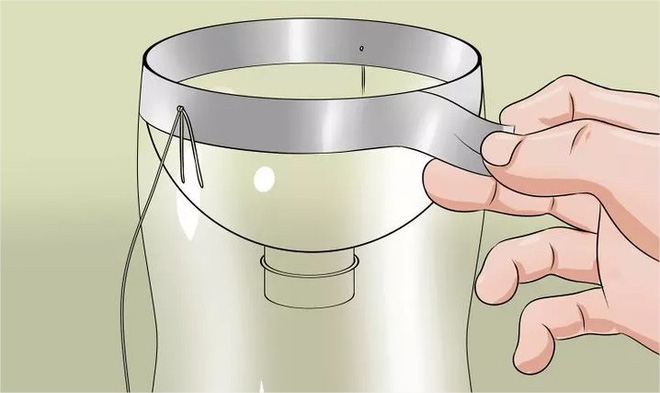 Đặt bẫy ruồi   Đặt bẫy ruồi