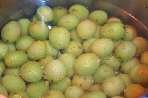 Trần táo Trần táo