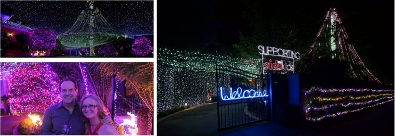 Ngôi nhà có nhiều đèn Giáng sinh nhất sử dụng đến 331.038 bóng đèn với nhiều màu sắc khác nhau. Ngôi nhà có nhiều đèn Giáng sinh nhất sử dụng đến 331.038 bóng đèn với nhiều màu sắc khác nhau.