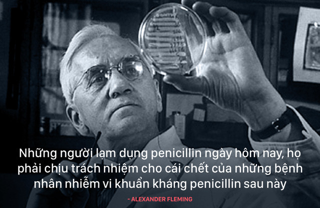 Fleming, cha đẻ của kháng sinh đã biết trước mọi thứ