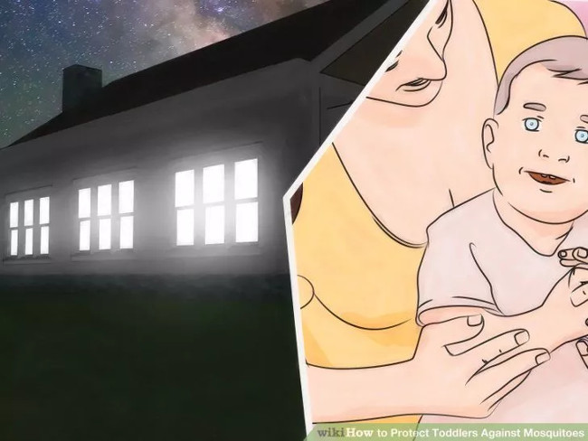 Giữ trẻ trong nhà vào sáng sớm và chiều tối Giữ trẻ trong nhà vào sáng sớm và chiều tối