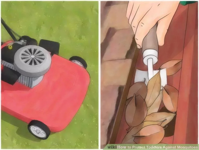 Dọn dẹp khu vực xung quanh nhà ở thường xuyên Dọn dẹp khu vực xung quanh nhà ở thường xuyên