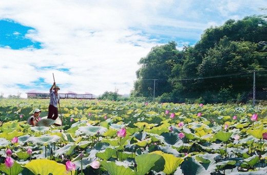 Đầm Long Đầm Long