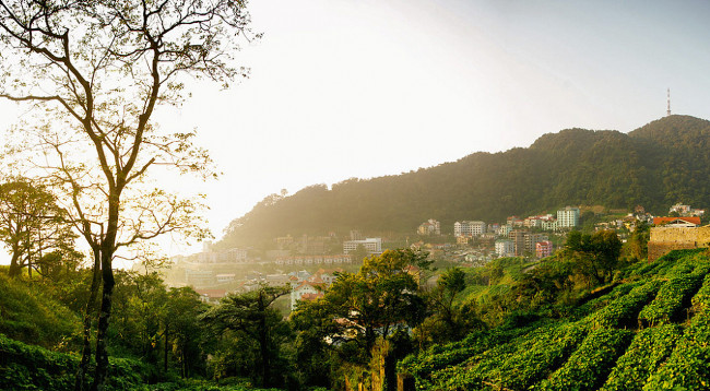 Tam Đảo (Vĩnh Phúc)