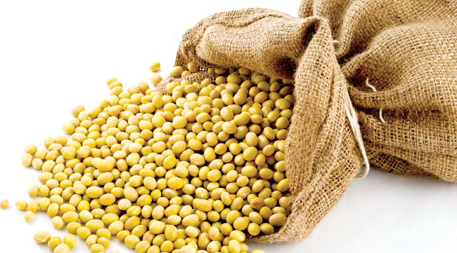 Tại một số nơi ở Ai Cập, người ta cúng các loại hạt thu hoạch được như: đậu tương, đậu cove...