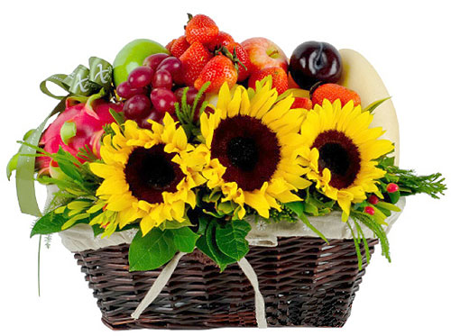 Giỏ quà Tết   Giỏ quà Tết